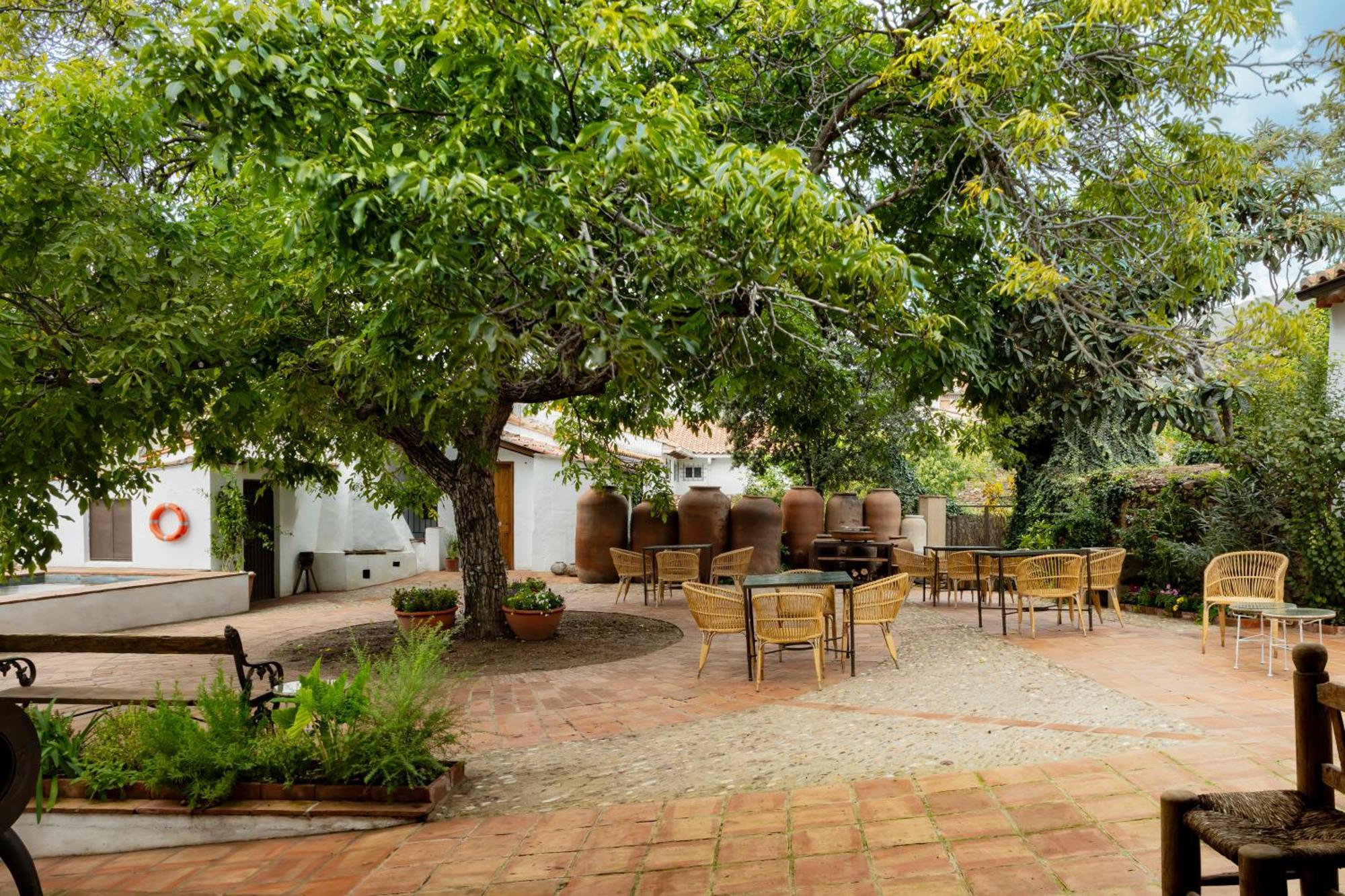 Apartamentos Turisticos El Patio Del Nogal Guadalupe  Exteriér fotografie