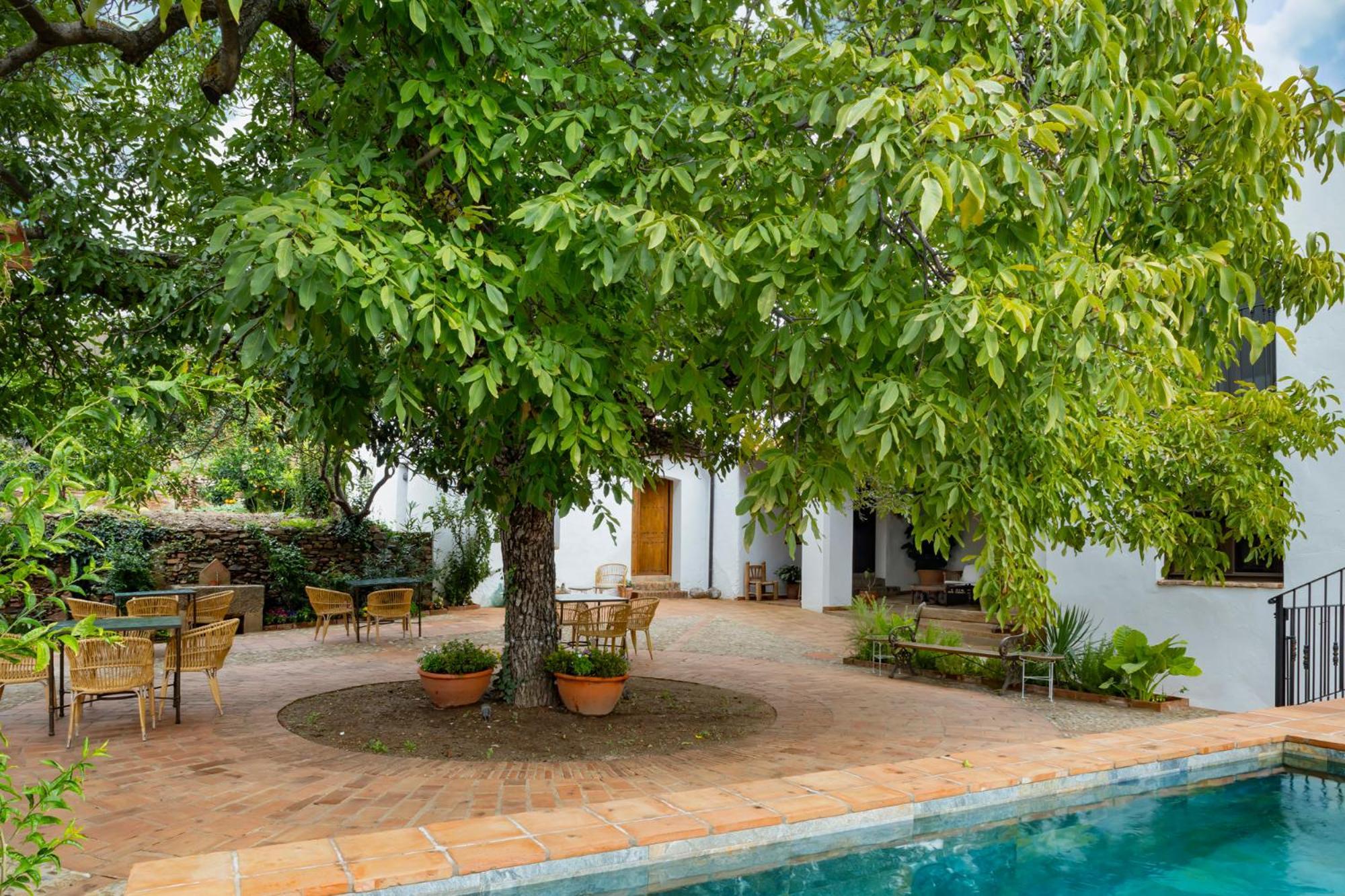 Apartamentos Turisticos El Patio Del Nogal Guadalupe  Exteriér fotografie