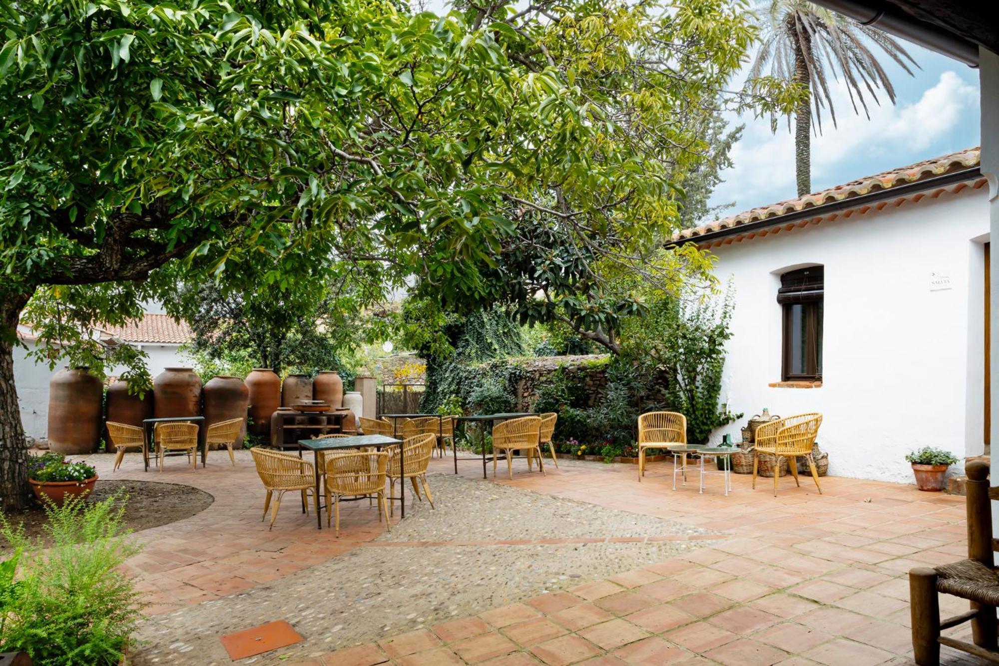 Apartamentos Turisticos El Patio Del Nogal Guadalupe  Exteriér fotografie